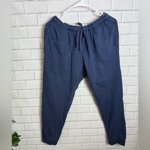 MISTER New York Men's Blue Jogger Pants/size L